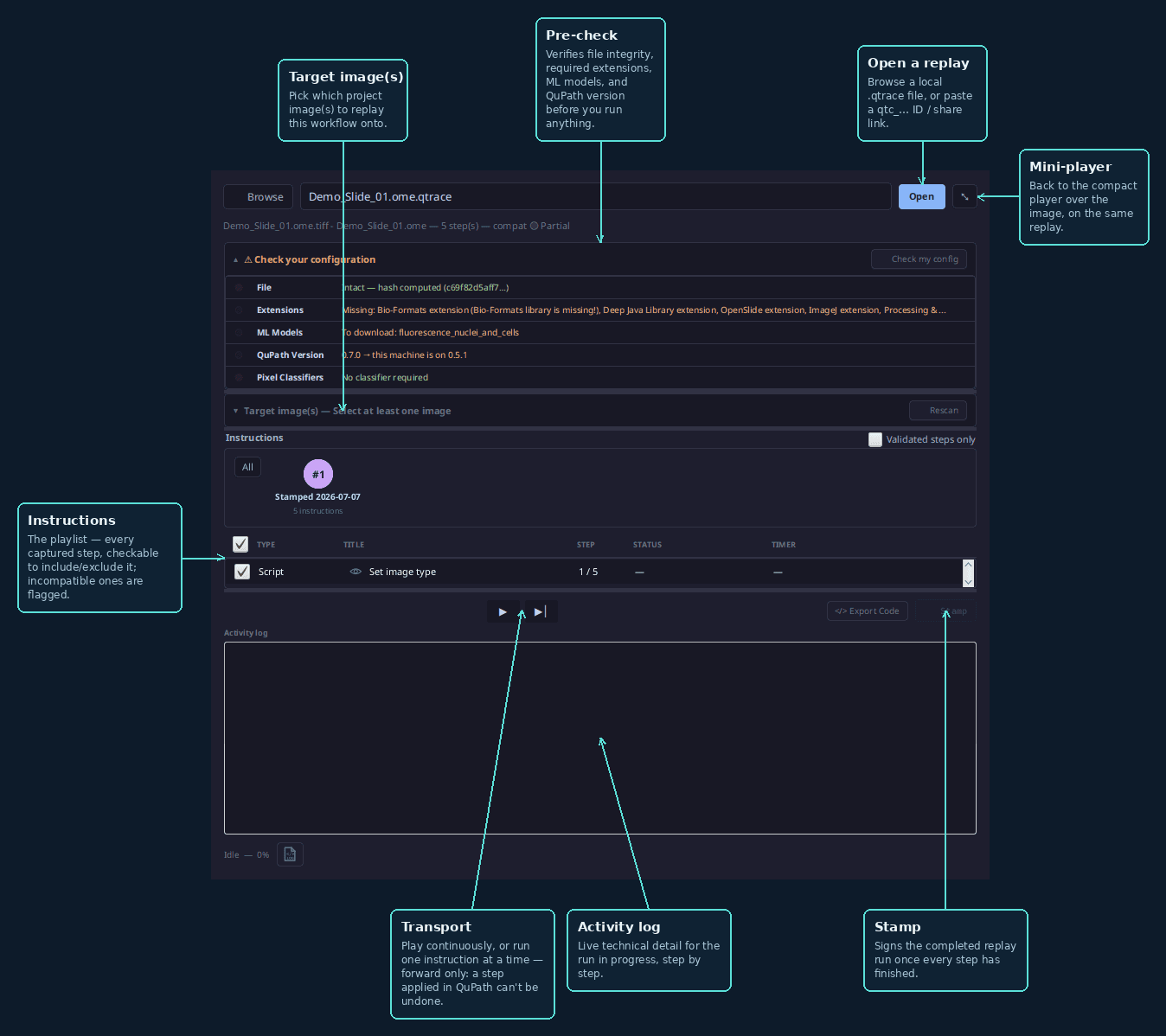 7. Replay a workflow